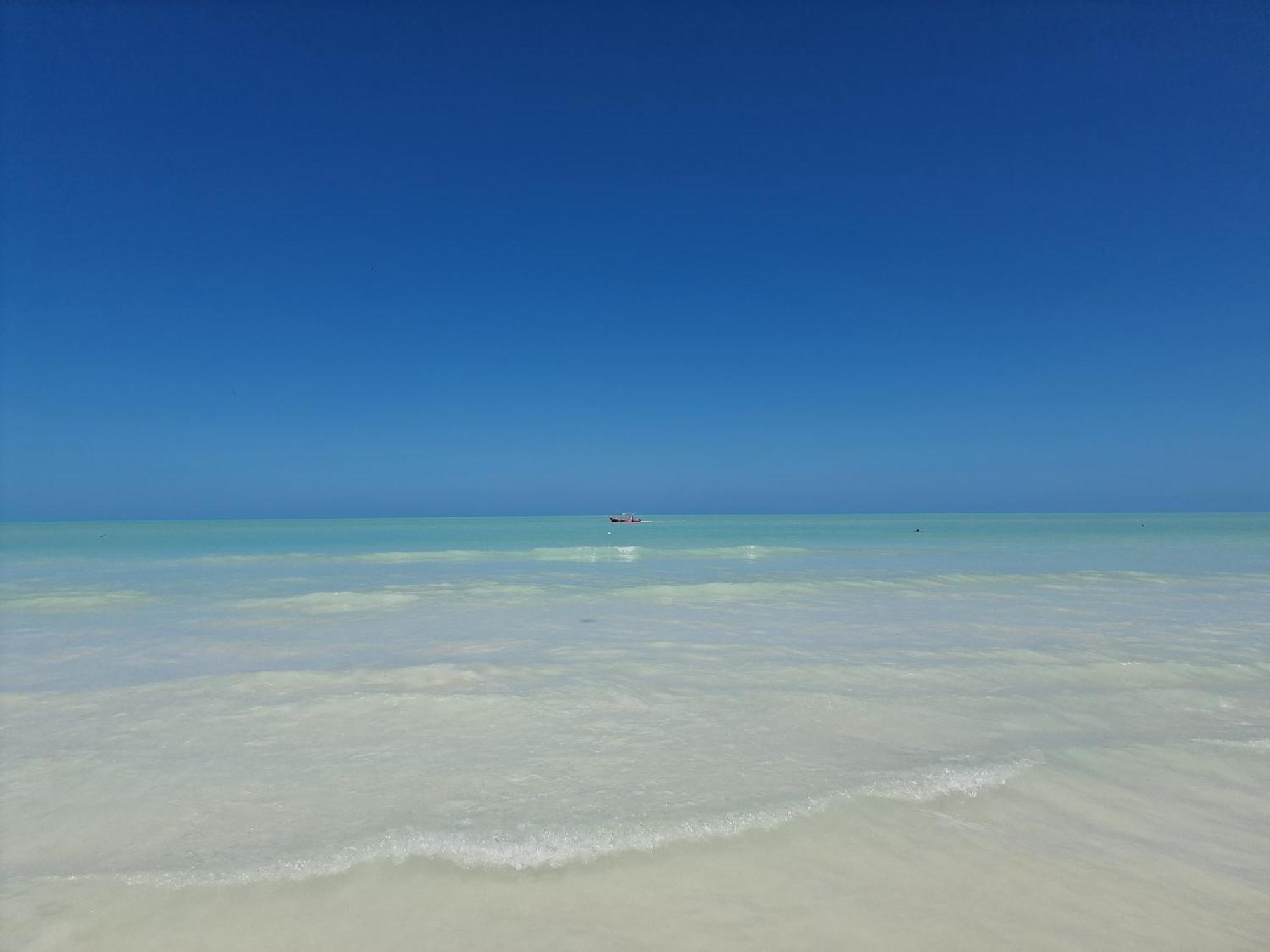 Luna Y Sol Glamping Holbox מראה חיצוני תמונה