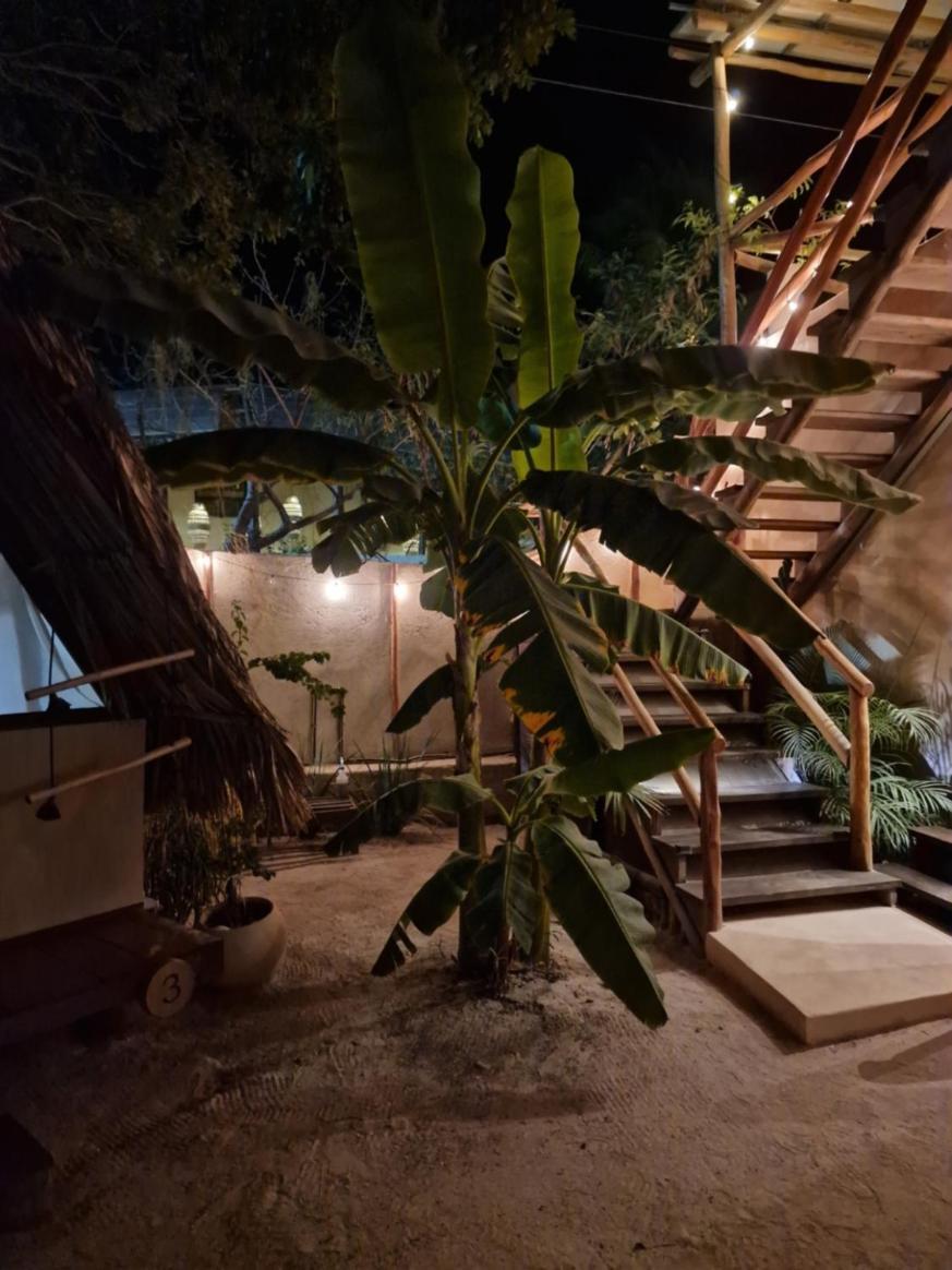 Luna Y Sol Glamping Holbox מראה חיצוני תמונה
